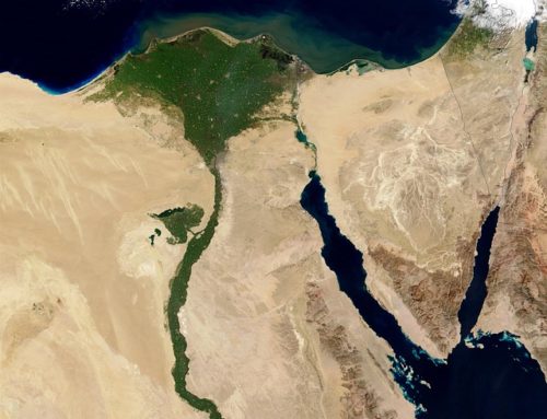 Ägypten: Details zur Registrierung im Einfuhrsystem „CargoX“ beachten